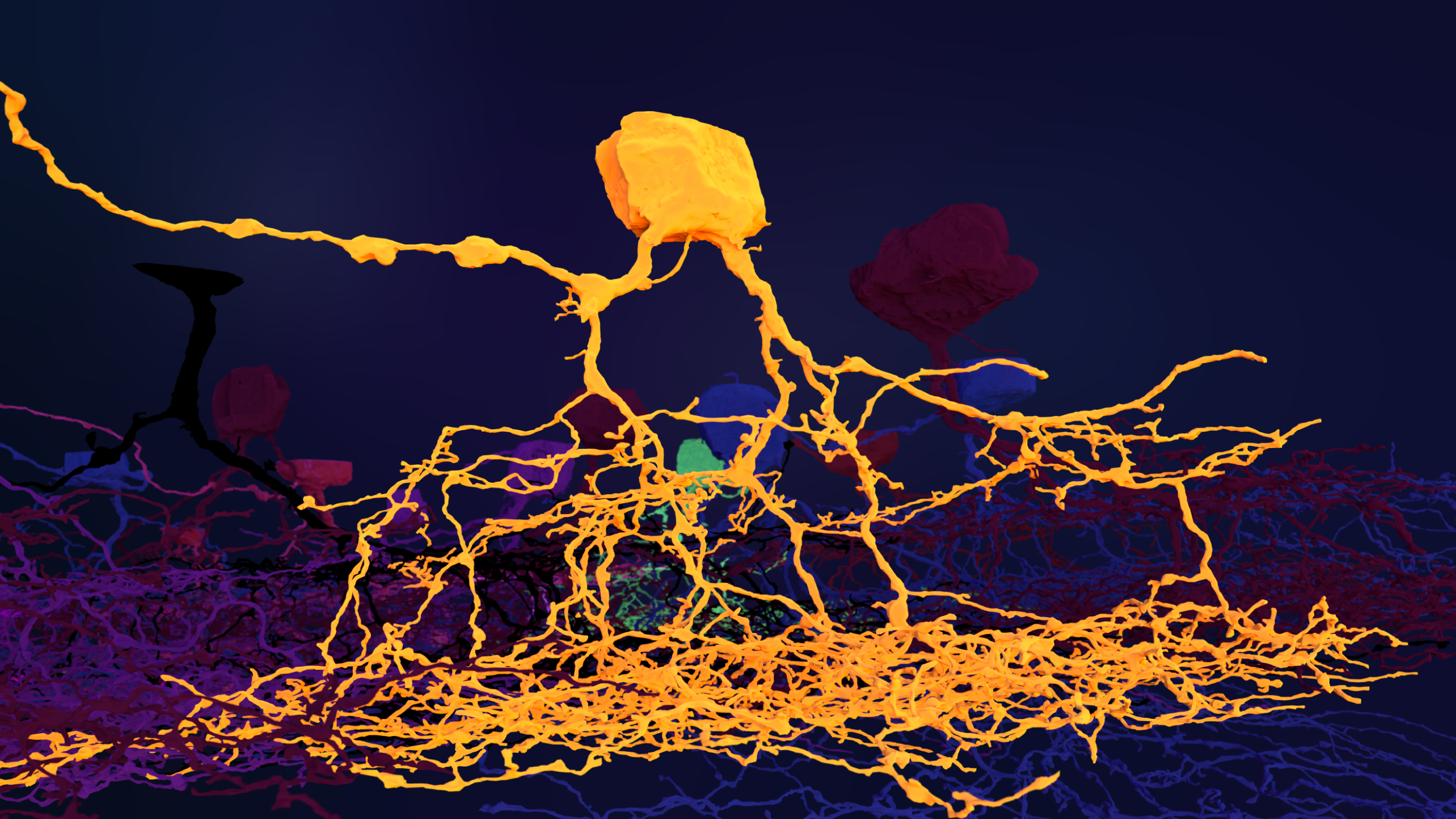 EyeWire preview, Halloween neurons