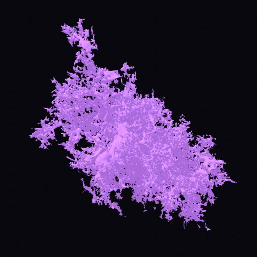 An astrocyte rendered in lilac on black. A small cell body with many fine processes spreading in every direction into a bushy cloud.