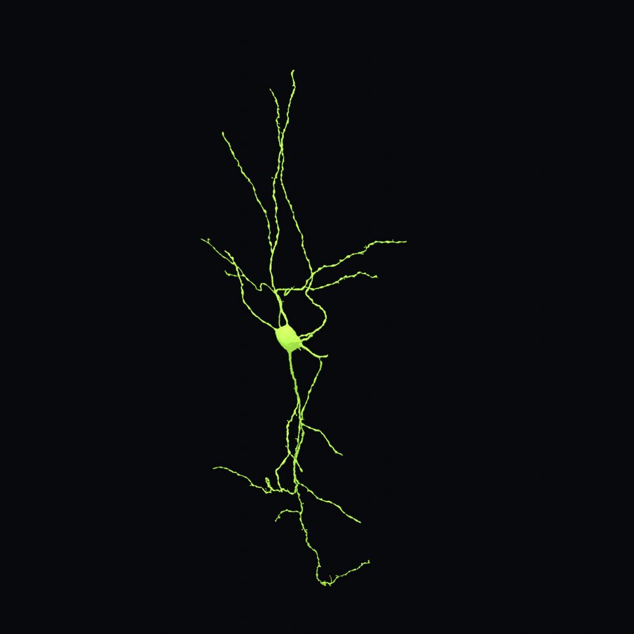 A small bipolar cell rendered in steel blue on black. A compact cell body with one process leaving the top and one the bottom.